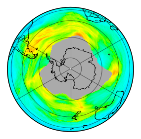 Ozone Field of 24 June 2026
