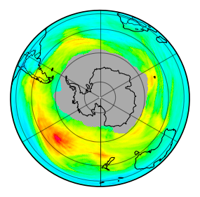 Ozone Field of 31 July 2026