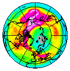 Ozone Field of 29 January 2020