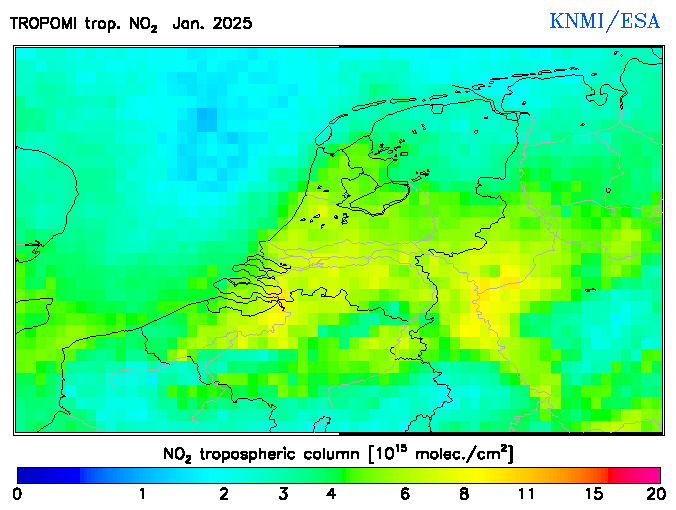 Regional Tropospheric NO2 of January 2025