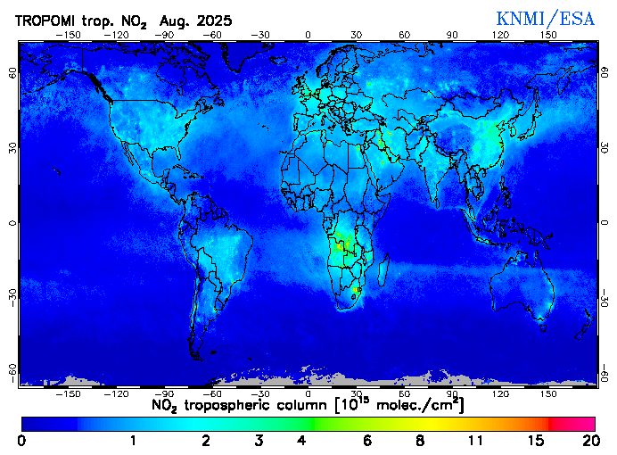 Regional Tropospheric NO2 of August 2025