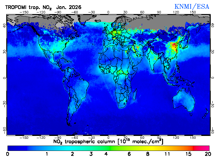 Regional Tropospheric NO2 of January 2026